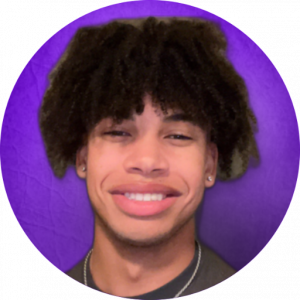 Transcript Thief (GPT).png